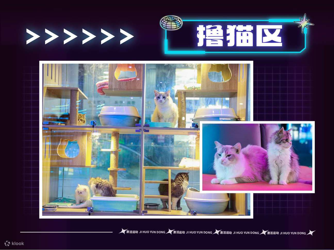 激活運動遊戲館 | 海岸城店